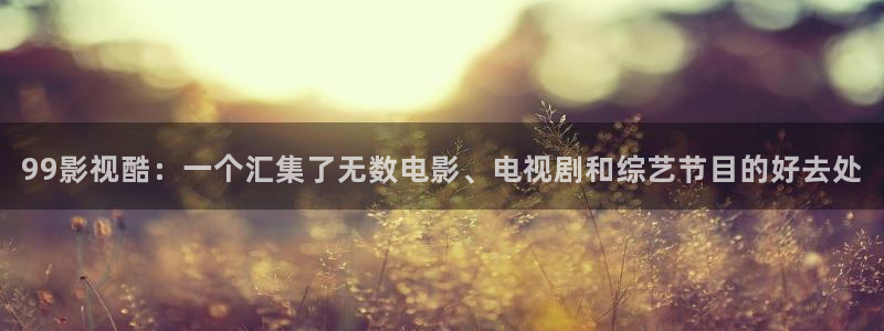 被窝电影一：99影视酷：一个汇集了无数电影、电视剧和综艺节目的好去处