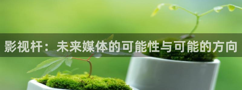 新被窝影院：影视杆：未来媒体的可能性与可能的方向