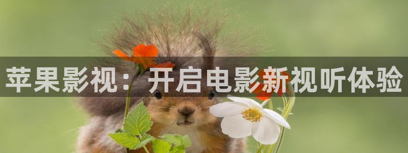 被窝影院电影：苹果影视：开启电影新视听体验