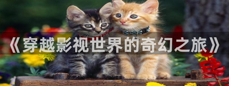 久久被窝电影院：《穿越影视世界的奇幻之旅》