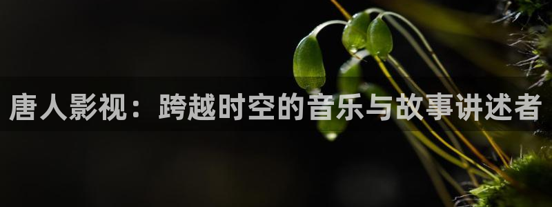 被窝网看电影：唐人影视：跨越时空的音乐与故事讲述者